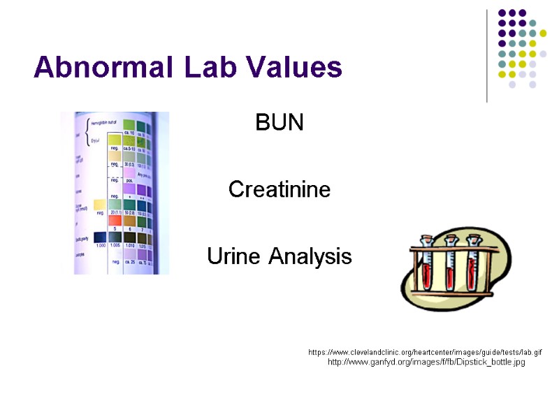 Abnormal Lab Values BUN  Creatinine  Urine Analysis https://www.clevelandclinic.org/heartcenter/images/guide/tests/lab.gif http://www.ganfyd.org/images/f/fb/Dipstick_bottle.jpg